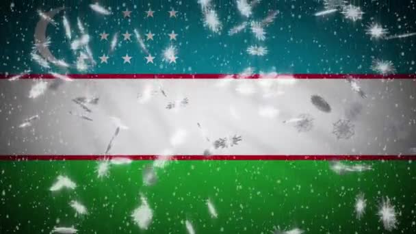 Uzbekistan flag falling snow loopable, New Year and Christmas background, loop — Stock Video