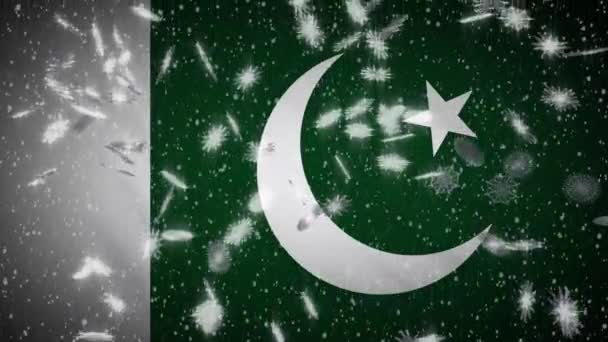 Pakistan flag falling snow loopable, New Year and Christmas background, loop — Stock Video