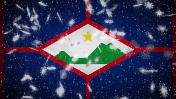 Drapeau Saint Eustatius tombant neige bouclable, Nouvel An et fond de Noël, boucle — Video