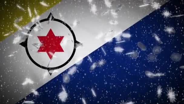 Bonaire vlag vallende sneeuw loopable, Nieuwjaar en Kerstmis achtergrond, lus — Stockvideo