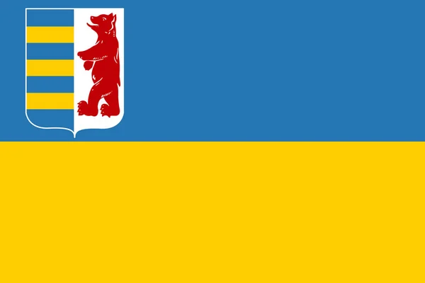 Флаг Закарпатской области в пропорциях и цветовых векторах — стоковый вектор
