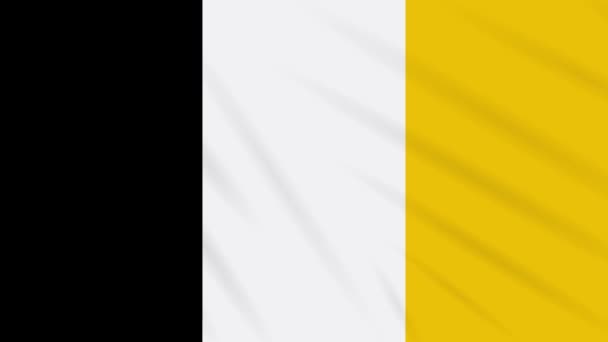Bandera Matabeleland ondeando tela, ideal para fondo, bucle — Vídeo de stock