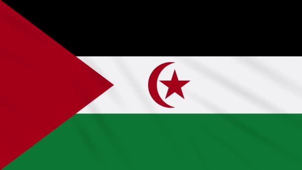 Bandera del Sahara Occidental ondeando tela, ideal para fondo, bucle — Vídeo de stock