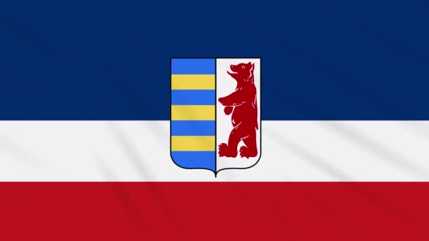 Carpathian Ruthenia flag waving cloth, ideal for background, loop — 비디오