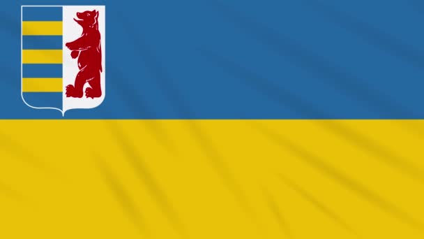 Zakarpattia σημαία Oblast κυματίζει ύφασμα, ιδανικό για φόντο, βρόχο — Αρχείο Βίντεο