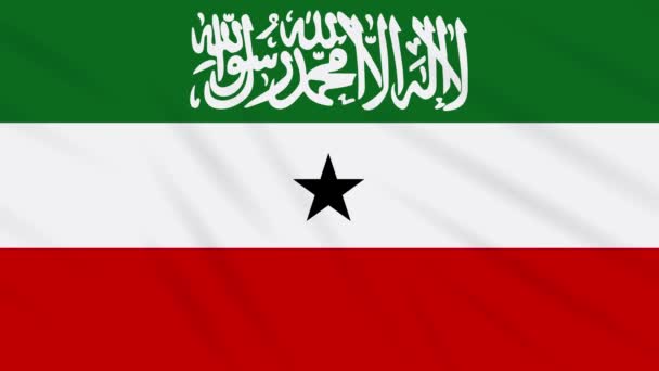 索马里兰国旗飘扬布，背景理想，环行 — 图库视频影像