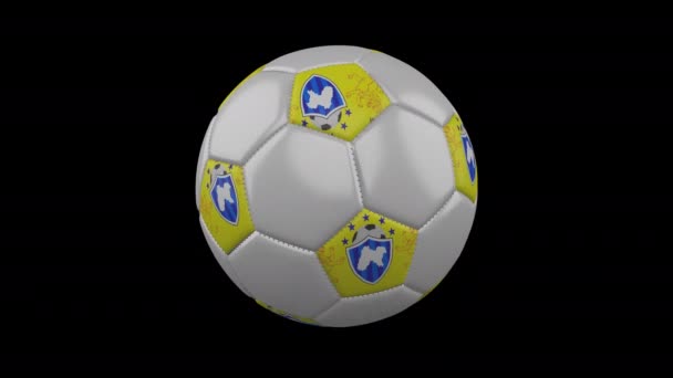 球上的Panjab标志在 α 透明度、回圈上旋转 — 图库视频影像