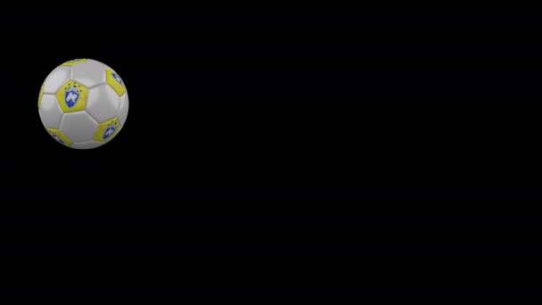 透明アルファチャンネル上の飛行と回転サッカーボール上のパンジャブフラグ — ストック動画