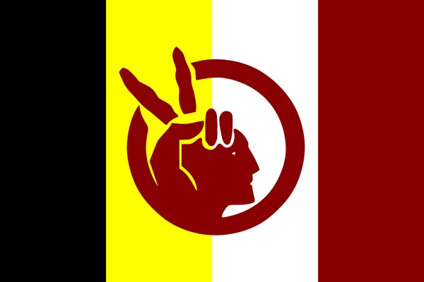 Flagge Der Indianerbewegung Proportionen Und Farben — Stockvektor