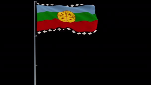 Mapuche flag on transparent background, 4k footage with alpha transparency — Stock video