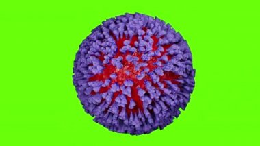 Virüsün bedeni yeşil şeffaf arka planda dönüyor, 4k alfa kanalı ile görüntüleri kaydediyor, döngü