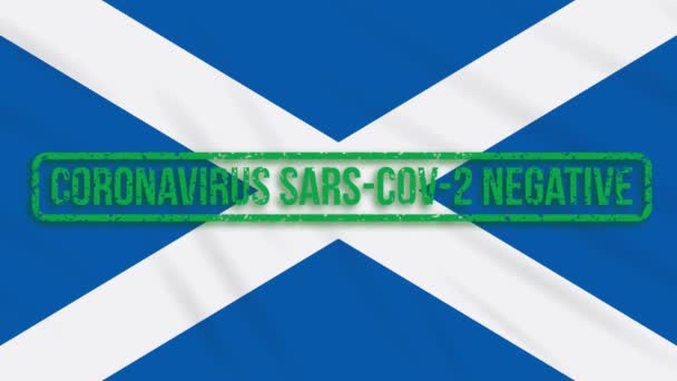 Escocia balanceo bandera con sello verde de la libertad de coronavirus, bucle — Vídeo de stock