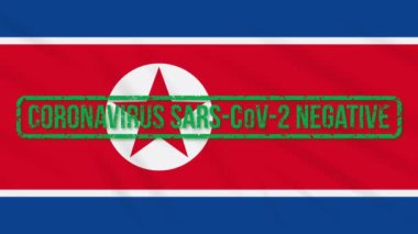 Koronavirüsten yeşil damgalı Kuzey Kore bayrağı sallanıyor.