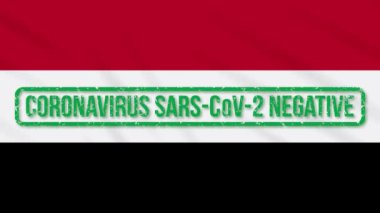 Koronavirüsten kurtulmak için yeşil damgalı Yemen bayrağı sallıyor.