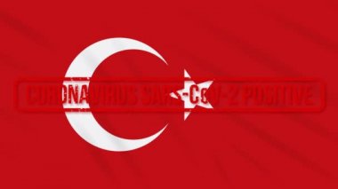COVID-19 ve döngüsüne olumlu tepkiyle damgalanmış Türkiye bayrağı sallıyor