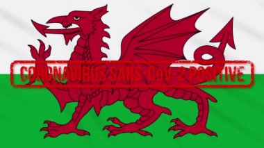 Wales sallanan bayrak COVID-19, döngü olumlu yanıt