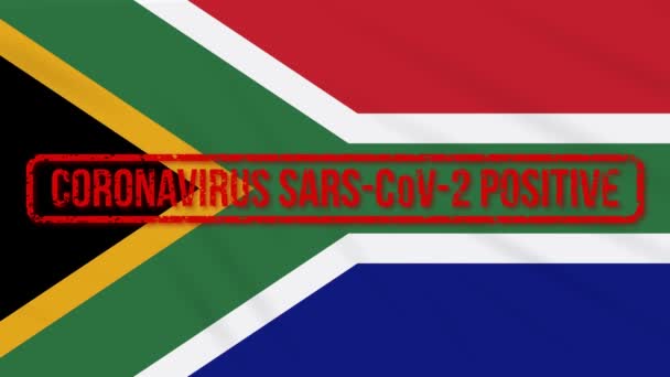 Bandera oscilante de Sudáfrica estampada con respuesta positiva a COVID-19, bucle — Vídeos de Stock