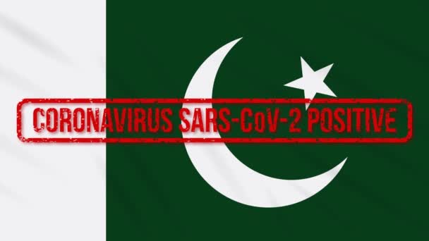 Pakistan schunkelt Flagge mit positiver Antwort auf COVID-19, Schleife — Stockvideo