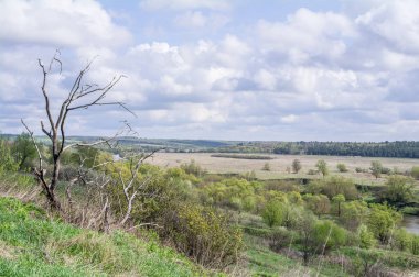 Gökyüzüne karşı ölü ağaç, bulutlar ve tarlalar.