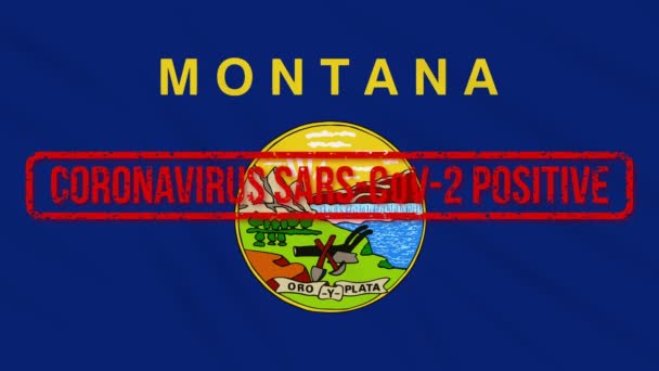 Estado de Montana EE.UU. balanceo bandera estampada con respuesta positiva a COVID-19, bucle — Vídeo de stock