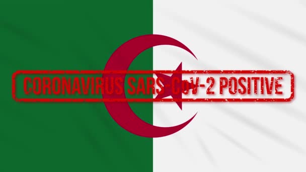 Algeria bandiera battente timbrata con risposta positiva a COVID-19, loop — Video Stock