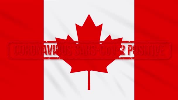 Bandera oscilante de Canadá estampada con respuesta positiva a COVID-19, bucle — Vídeo de stock