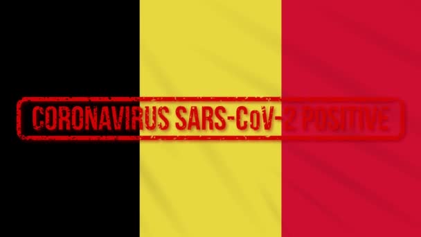 Βέλγιο, κυματιστή σημαία σφραγισμένη με θετική απάντηση στο COVID-19, βρόχος — Αρχείο Βίντεο