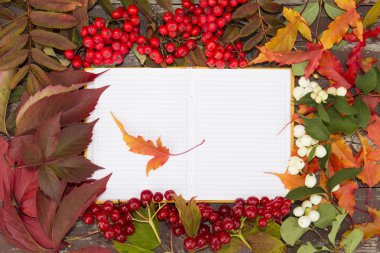 sonbahar çilek, arka plan üzerine açık bir defter çiçek ve yaprakları