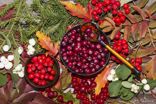 Bayas de otoño, arándano, rosa guelder y Rowan en el fondo de hojas y frutas de otoño —  Fotos de Stock