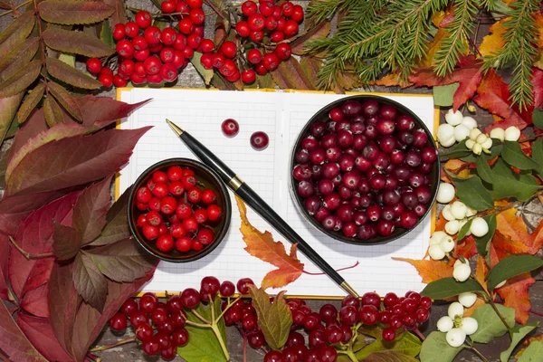 autumn berries, cranberry and Rowan in a notebook on the background of autumn leaves and fruits