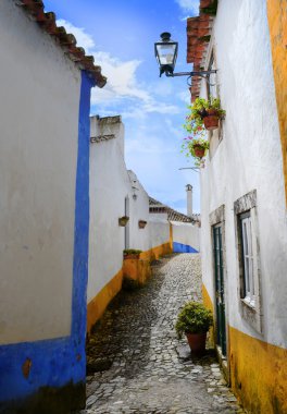  Portekizce köyün Obidos