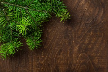 Yeşil ladin dalı, eski ahşap arka plan. Üst görünüm.