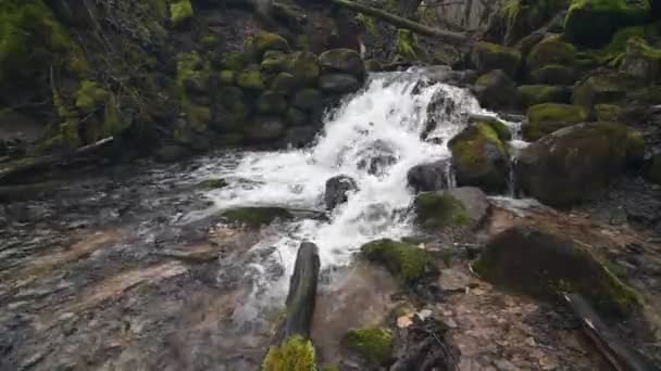 春に岩の上を流れる滝 — ストック動画