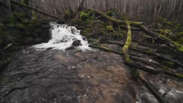 Cascata Che Scorre Sulla Roccia Primavera Bella Foresta — Video Stock