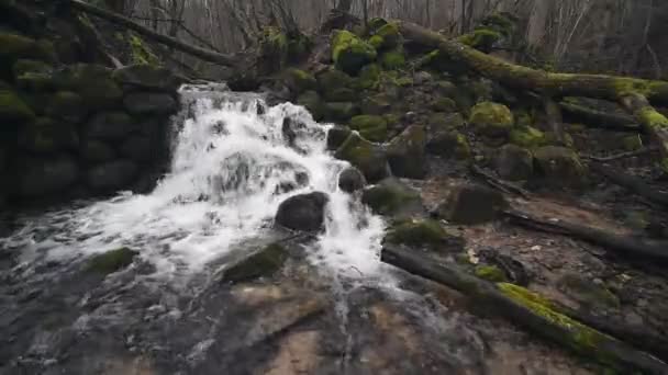 春になると岩の上を滝が流れる 美しい森 — ストック動画