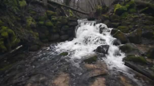 春になると岩の上を滝が流れる 美しい森 — ストック動画