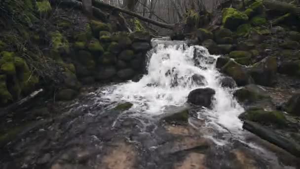 Cascata Che Scorre Sulla Roccia Primavera Bella Foresta — Video Stock