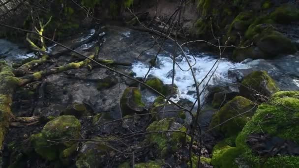 春に岩の上を流れる滝. — ストック動画