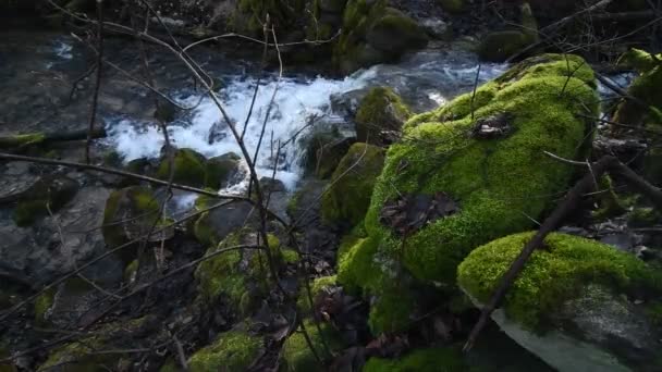 Cachoeira que flui sobre a rocha na primavera . — Vídeo de Stock