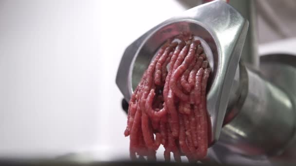 Helicóptero faz comida picada de recheio de carne na cozinha industrial — Vídeo de Stock