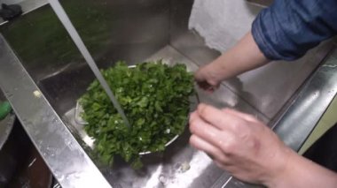 Mutfakta aşçı bir kevgir yıkama maydanoz derin bir lavaboda.