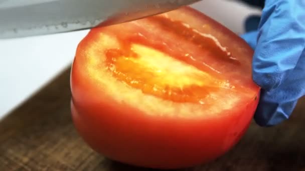 Nahaufnahme der Hand mit Handschuhen Messer wird reife Tomate auf Holzbrett geschnitten. — Stockvideo