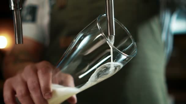 Barkeeper schüttet in stilvoller Bar Bier in das saubere hohe Glas, aus nächster Nähe. — Stockvideo