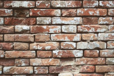 Eski kırmızı tuğla duvarı
