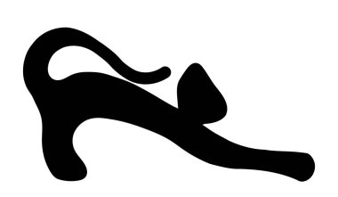 siluet siyah bir kedi