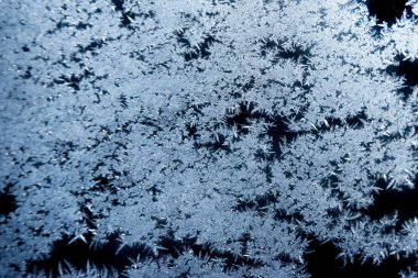 Rime camda. Güzel kış soyut doğal arka plan