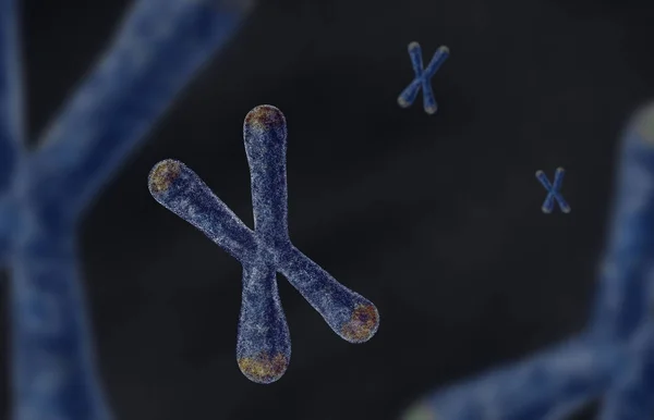 Telomere makro çizimi koyu bir arka planda