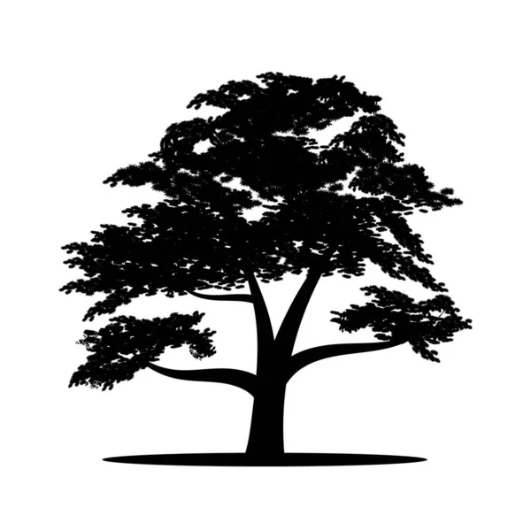 Schwarze Silhouette Eines Großen Baumes Auf Weißem Hintergrund Vektorbild — Stockvektor