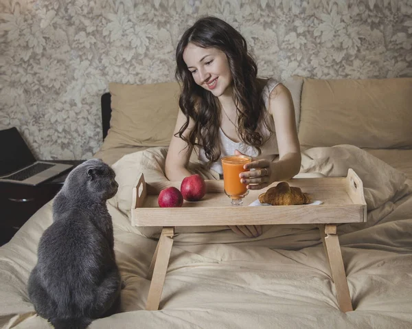 Girl Having Breakfast Her Bed Grey Cat Sitting Her — Stockfoto