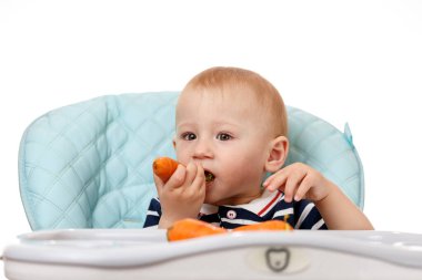 Neşeli küçük çocuk çocuk çocuk koltuğunda oturuyor ve beyaz arka planda havuç yiyor. Taze sebzeler çocuklar için çok yararlıdır. Zeki yetişkinler iyi beslenme uzmanlarıdır..